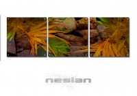 /album/nesian-artwork/n5-copy-jpg/